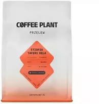 Coffee Plant KAVOS AUGALAS - Etiopijos išplautas filtras 250 g