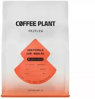 Story Coffee Roasters Coffee Plant KAVOS AUGALAS - Gvatemala San Marcos plautas filtras 250g