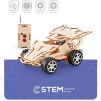 Medinis konstruktorius Nuotoliniu būdu valdomas automobilis, mokomasis modelis