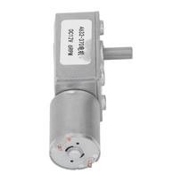 6RPM Worm Gear Motor Robust Self Locking DC Geared Motor for Door Opener Small Winches DC12V