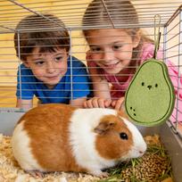 Rabbit Toys Large Digestive Support Pet Supplies Natural Chinchilla Toys Pet Treats For Small Animal Hamster Chinchilla Indoor China Mainland