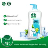 Dettol Mint Ice Cool Shower Gel