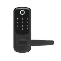 TTLOCK WIFI Elektroninis Išmanusis Vandeniui Atsparus Durų Užraktas Biometrinis Piršto Atspaudo Slaptažodžio Užraktas Induktyvus Kortelės Braukimo Užraktas juoda