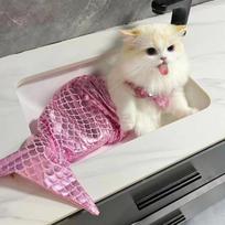 Naminių Gyvūnų Šuo Katė Undinės Išvaizda Juokingas Maudymosi Kostiumas Dėvėti Bikini Kostiumo Rekvizitai Undinės Uodegos Drabužiai (Pink,S) rožinė