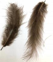 Piórka Brąz  10-12Cm Op. 50Szt.