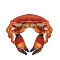 Druskingasis krabas 26cm - Beppe