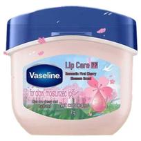 Vaseline Classic Special Care Lip Balm
