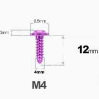 1 Pcs M4 M5 M6 X 12/14/16/20-55mm GR5 TC4 Titanium Alloy Screw Self-tapping  Torx Head Flange Motocycle Case M4x12mm violetinė