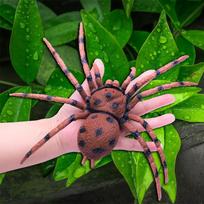 20cm Halloween Simulation Big Spider Model Prank Tricky Scary Reptile Patterned Spider Tarantula Insect Model Teaching Props