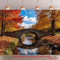 2D Flat Autumn Nature Backdrop Stone Bridge and Reflected Sky Background Cloth 47.2x31.5inch/120*80cm