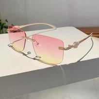 Latest Luxurious Brand Style Designer Y2K Vintage Rimless Square Sunglasses Women For Men Sun Eyeglasses Trend Punk Popular Gold Leopard Shades