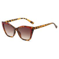 Y2k Cat Eye Sunglasses Steampunk Contrast Color UV Protection Sunglasses Classic Square Frame Fashion Sunglasses Beachwear