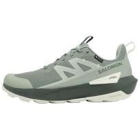 Salomon Elixir Activ GORE-TEX 'Sedona Sage' 44.5