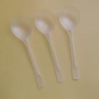 Qiwei Disposable Plastic Catering Spoons