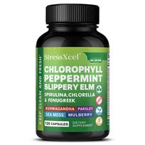 Ekologiškas pipirmėčių miltelių maisto papildas su šilkmedžio chlorofilo ekstraktu, 120 kapsulių buteliuke 120 Capsules