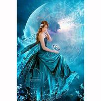 Diamond Embroidery Diamond Painting Diamond Mosaic Blue Moon Fairy Picture Of Rhinestones Home Decoration 20X30CM