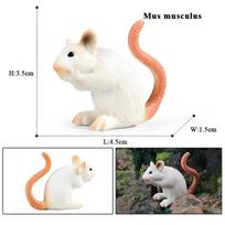 Oenux Laukiniai Gyvūnai Imitacija Graužikas Marmotas Pelė Modelis Voverė Žiurkė Chinchilla Veiksmo Figūrėlė Kolekcija Mielas Vaikų Žaislas
