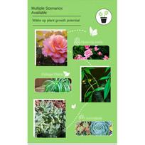5Box 150 Roots Living Soil Plant Rooting Fertilizer Slow Release Flower Nutritional Stick Potted Growthing Potted Plant Stick 5box