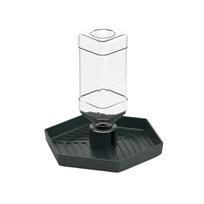 Detachable Turtle Water Bowl Anti-slip Automatic Water Dispenser Lizard Food Feeder  for Amphibians žalia