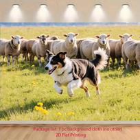 2D Border Collie Herding Sheep Backdrop Spring Meadow Farm Dog Photography Background 47.2x31.5inch/120*80cm