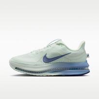 Nike Wmns Pegasus Premium 'Barely Green Work Blue' 38