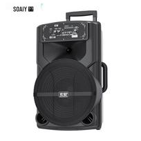 Soli T82 High-Power Portable Karaoke Speaker CN plug (adapter included)