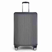 Diplomat 24-inch ABS Hardside Spinner Trolley Suitcase