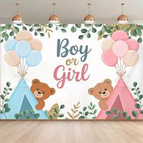 2D Boy or Girl Gender Reveal Backdrop Teddy Bear Photography Background Banner 47.2x31.5inch/120*80cm