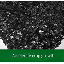 1000g Potassium Fulvate  Improve Soil Quality Resistant To Hard Water Take Root and Grow Strong Seedlings Fruits and Vegetables 1000g
