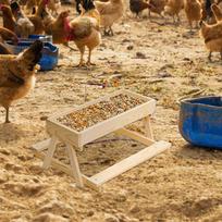 Chicken Food Feeder Squirrel Wild Bird Feeder Wooden Mesh Bottom Stand Keeps Food Fresh Dry For Poultry Turkey Duck Flock China Mainland