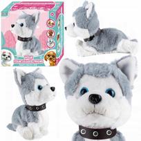 Piesek Pies Interaktywny Husky Reaguje Na Dotyk Szczeka Siada Jak Prawdziwy