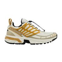 Salomon ACS Pro GORE-TEX 'Icicle Antelope' 38.5