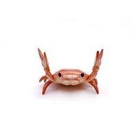 Funny Crab Desktop Pen Holder as creative stationery raudona