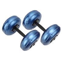 Woman Fitness Portable Adjustable Water Filled Dumbbell Arm Muscle Training Home Yoga Shaping EquipmentBlue 8‑10KG