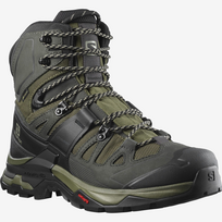 SALOMON batai Quest 4 GTX žalia/juoda - 305