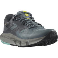 SALOMON batai Predict Hike GTX W grey/blue - 260