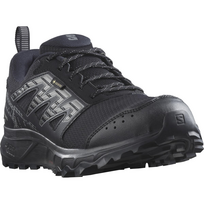 SALOMON avalynė Wander GTX juoda/pilka - 255