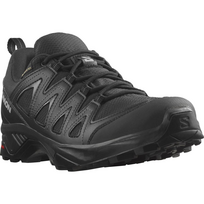 SALOMON batai X Braze GTX black - 245