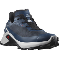 SALOMON batai Metacross blue/white - 265