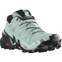 SALOMON avalynė Speedcross 6 GTX W šviesiai žalios/juodos spalvos - 270