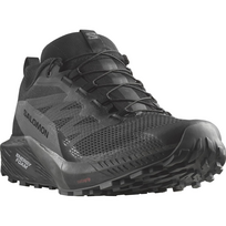 SALOMON avalynė Sense Ride 5 GTX juoda / tamsiai pilka - 300