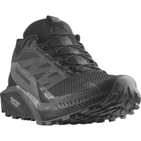 SALOMON avalynė Sense Ride 5 GTX W black/dark grey - 235