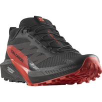 SALOMON avalynė Sense Ride 5 black/red - 305