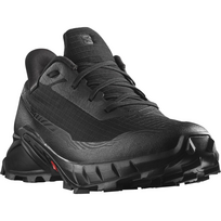 SALOMON batai „Alphacross 5 GTX W black“ - 255