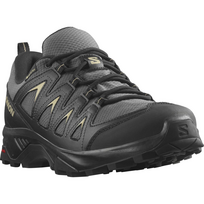 SALOMON avalynė X Braze GTX black/grey - 310