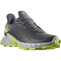 SALOMON batai Alphacross 4 GTX pilki/žali - 265