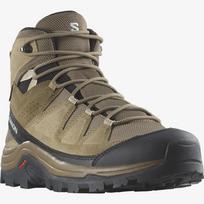 SALOMON avalynė Quest Rove GTX ruda/juoda - 265