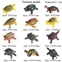 Oenux Sea Life Animals Model Leatherback Tortoise Turtle Growth Cycle Ocean Figurines Action Figures PVC Collection Kid Toy Gift