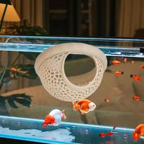 Akvariumo Betta hamakas plaukiojančiai poilsio zonai ir veisimosi pagalba balta