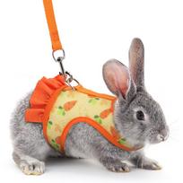 Escape Proof Rabbit Chest Strap Set Breathable Mesh Guinea Pig Leash Set  Small Animal Training S oranžinė